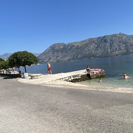 Lux Boka Sea View Apartment Kotor Eksteriør bilde