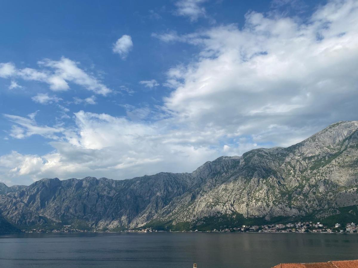 Lux Boka Sea View Apartment Kotor Eksteriør bilde